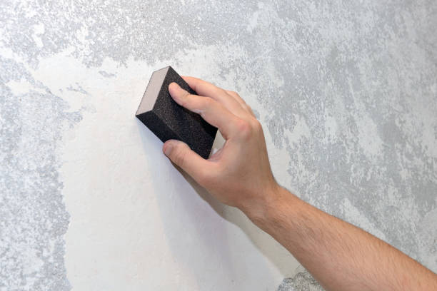 Best Black Mold Removal  in Stanaford, WV