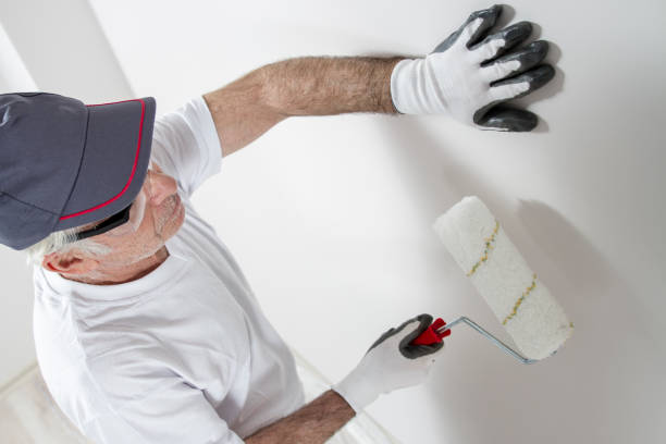 Best Biohazard Mold Removal  in Stanaford, WV
