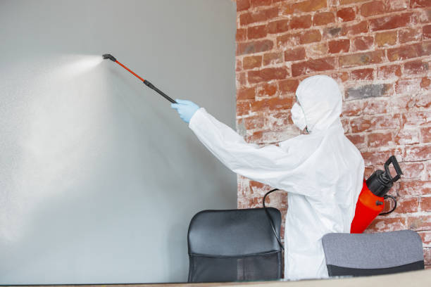 Best Mold Documentation for Insurance Claims  in Stanaford, WV