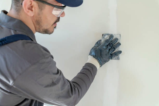 Best Emergency Mold Remediation  in Stanaford, WV