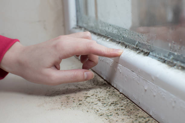 Dehumidification Services in Stanaford, WV