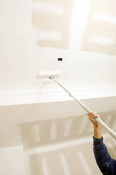 Best Mold Remediation for Healthcare Facilities  in Stanaford, WV