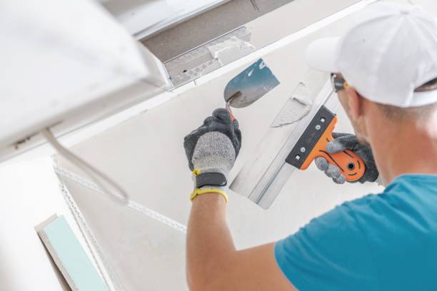 Best Real Estate Mold Inspection  in Stanaford, WV